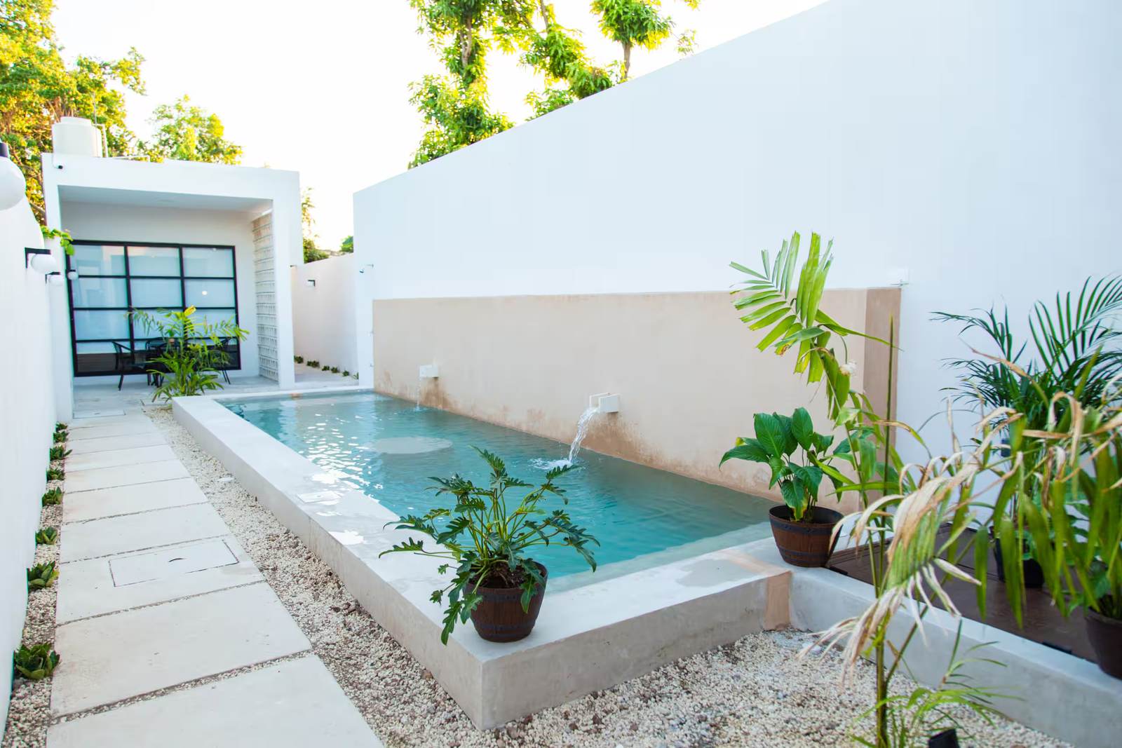 Patio con alberca y plantas