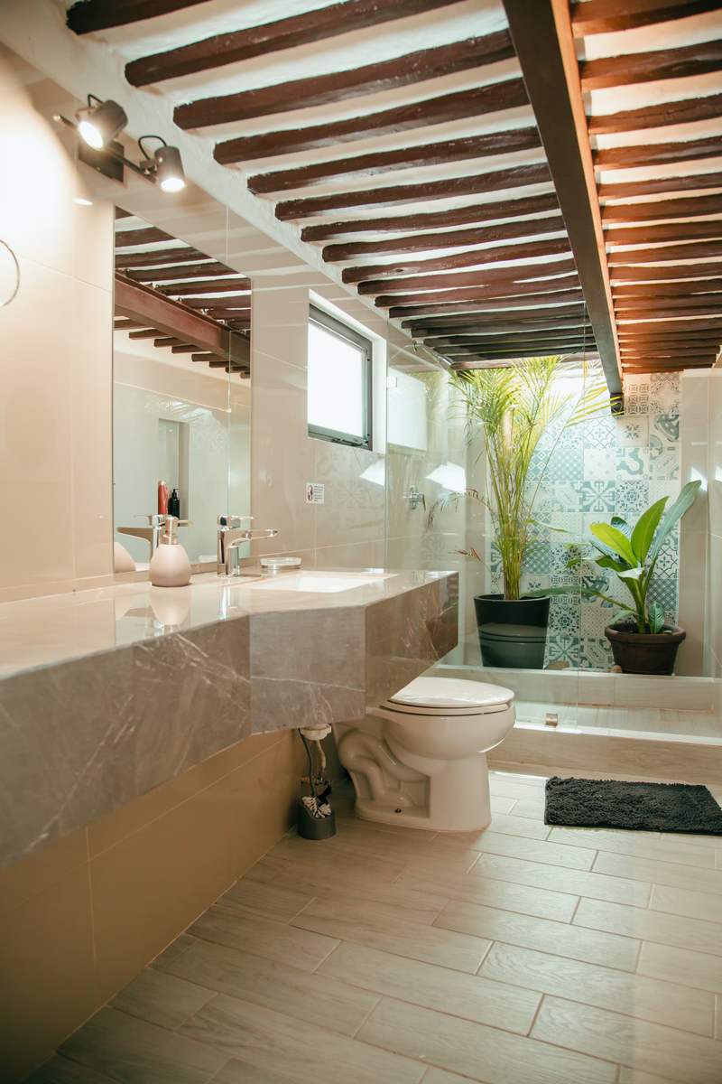 Baño con lavabo y jardín